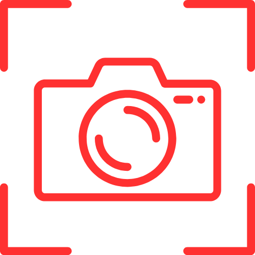 Live Porn Shows